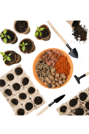 Seeds & Gardening